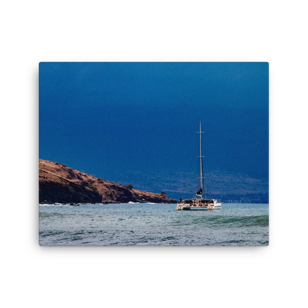 thin-canvas-(in)-16x20-front-68be73730a008.jpg