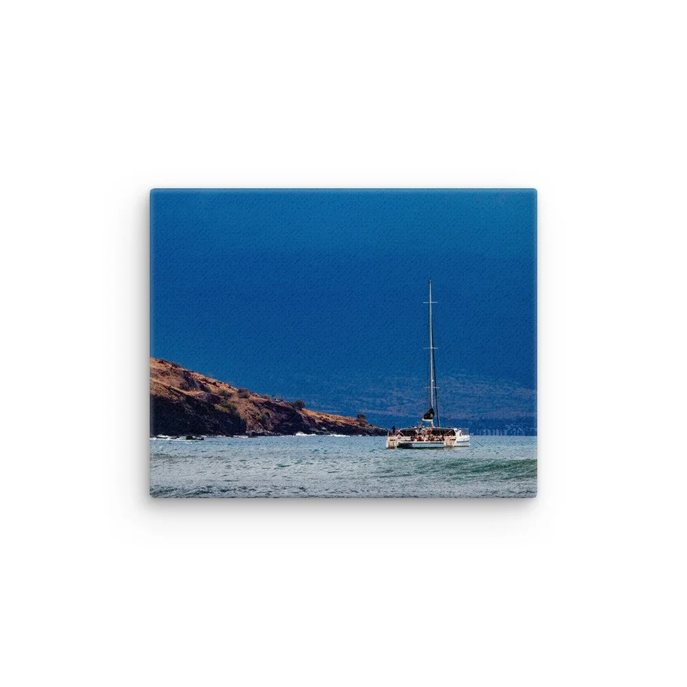 thin-canvas-(in)-8x10-front-68be73730a194.jpg
