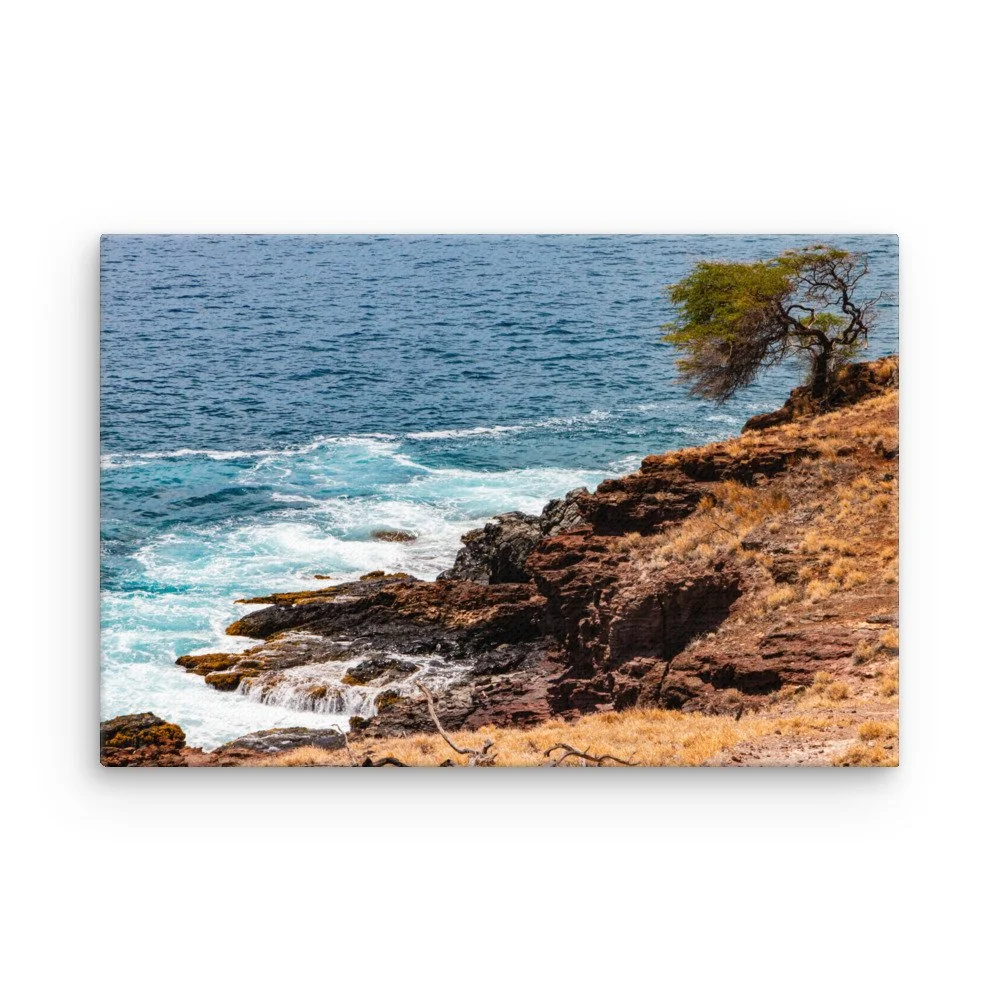 thin-canvas-(in)-12x18-front-68c044d1a400f.jpg
