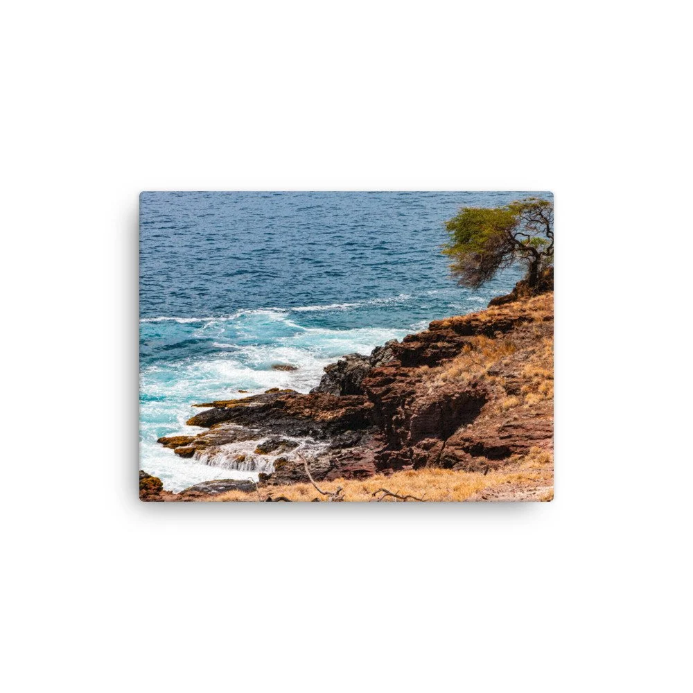 thin-canvas-(in)-12x16-front-68c044d1a469e.jpg