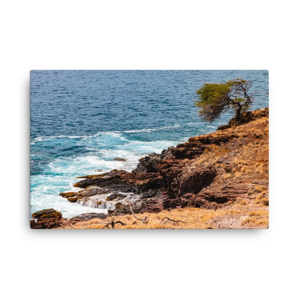 thin-canvas-(in)-24x36-front-68c044d1a48a2.jpg