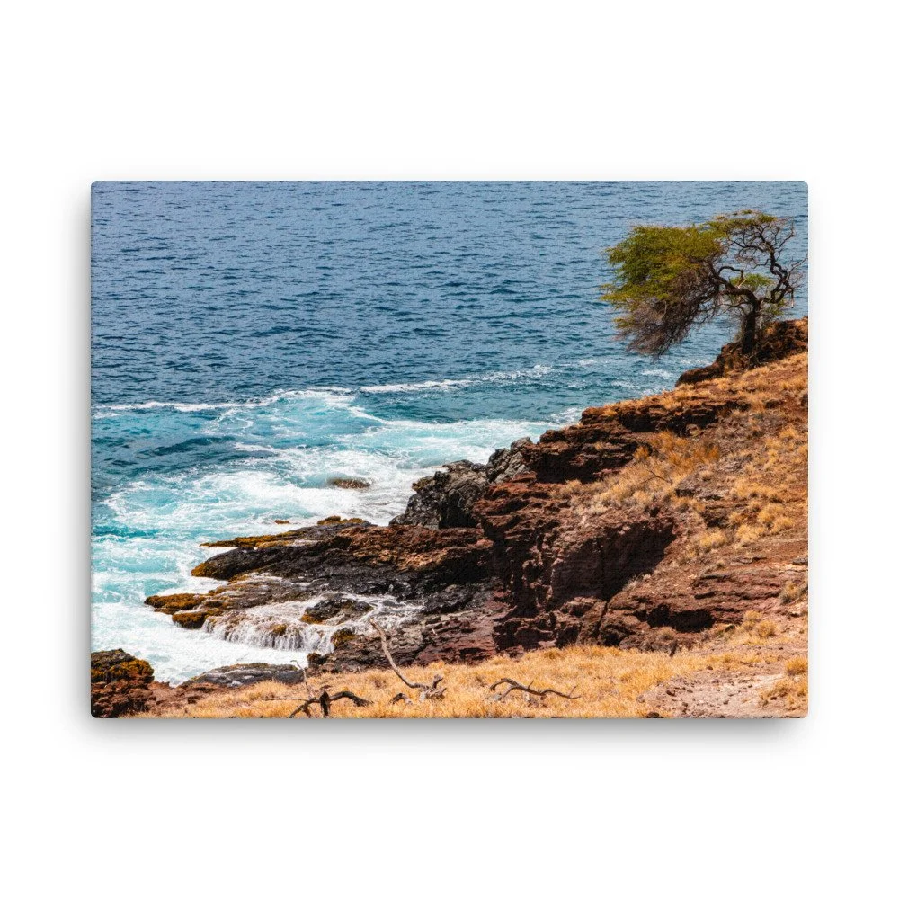 thin-canvas-(in)-24x32-front-68c044d1a4a15.jpg