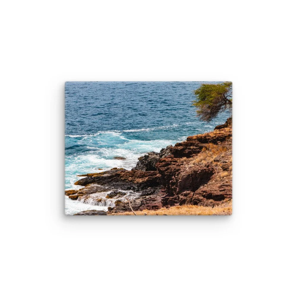 thin-canvas-(in)-8x10-front-68c044d1a4a6f.jpg