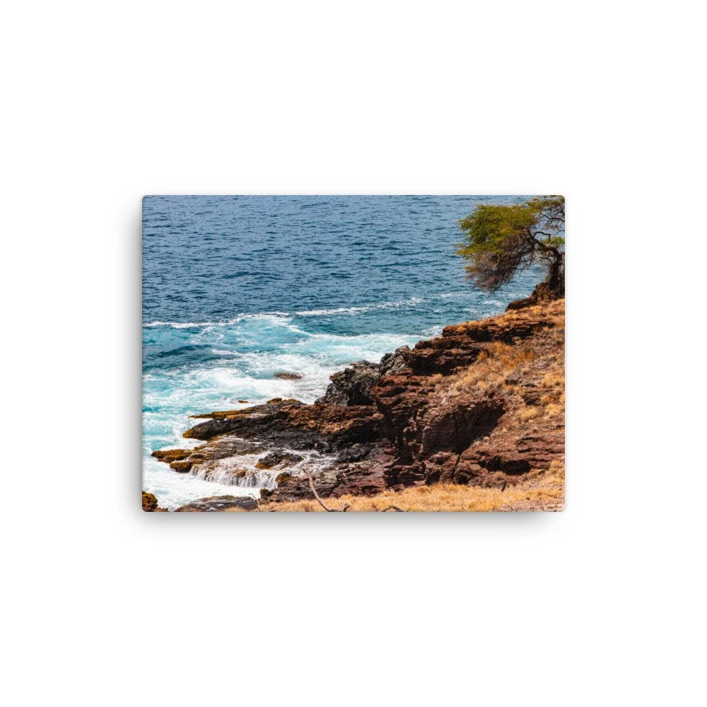 thin-canvas-(in)-9x12-front-68c044d1a4ad4.jpg