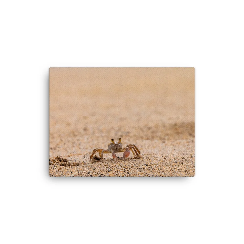 thin-canvas-(in)-12x16-front-68c0465781dc1.jpg