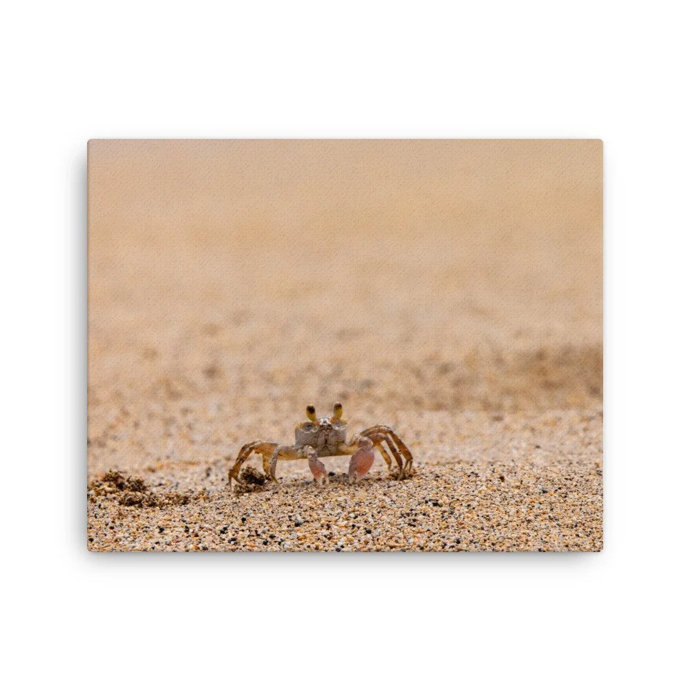 thin-canvas-(in)-16x20-front-68c0465781e9d.jpg