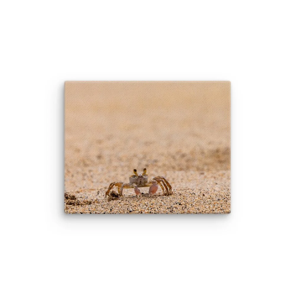 thin-canvas-(in)-8x10-front-68c046578213f.jpg