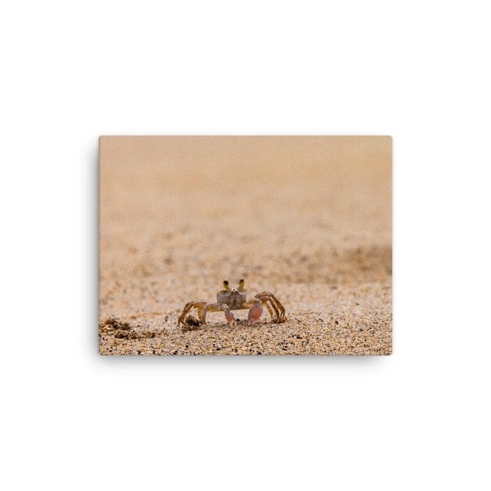 thin-canvas-(in)-9x12-front-68c0465782199.jpg