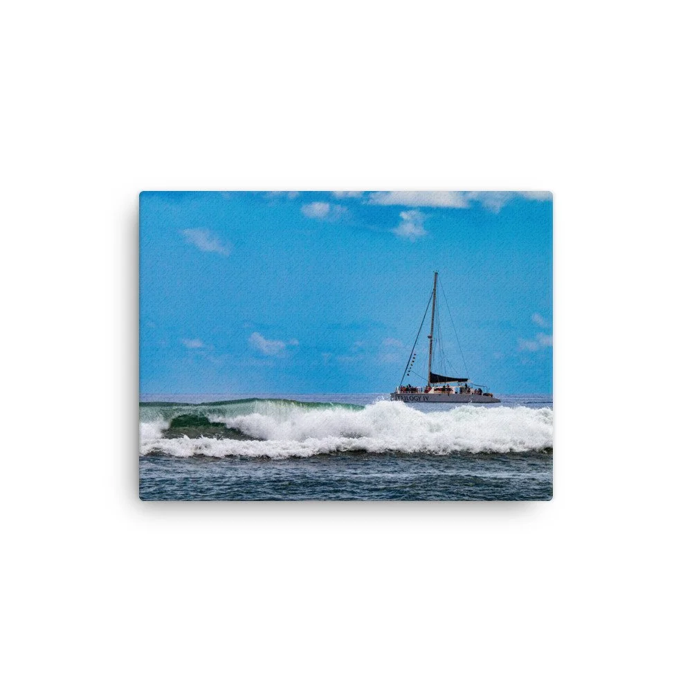 thin-canvas-(in)-12x16-front-68c0487e980cd.jpg