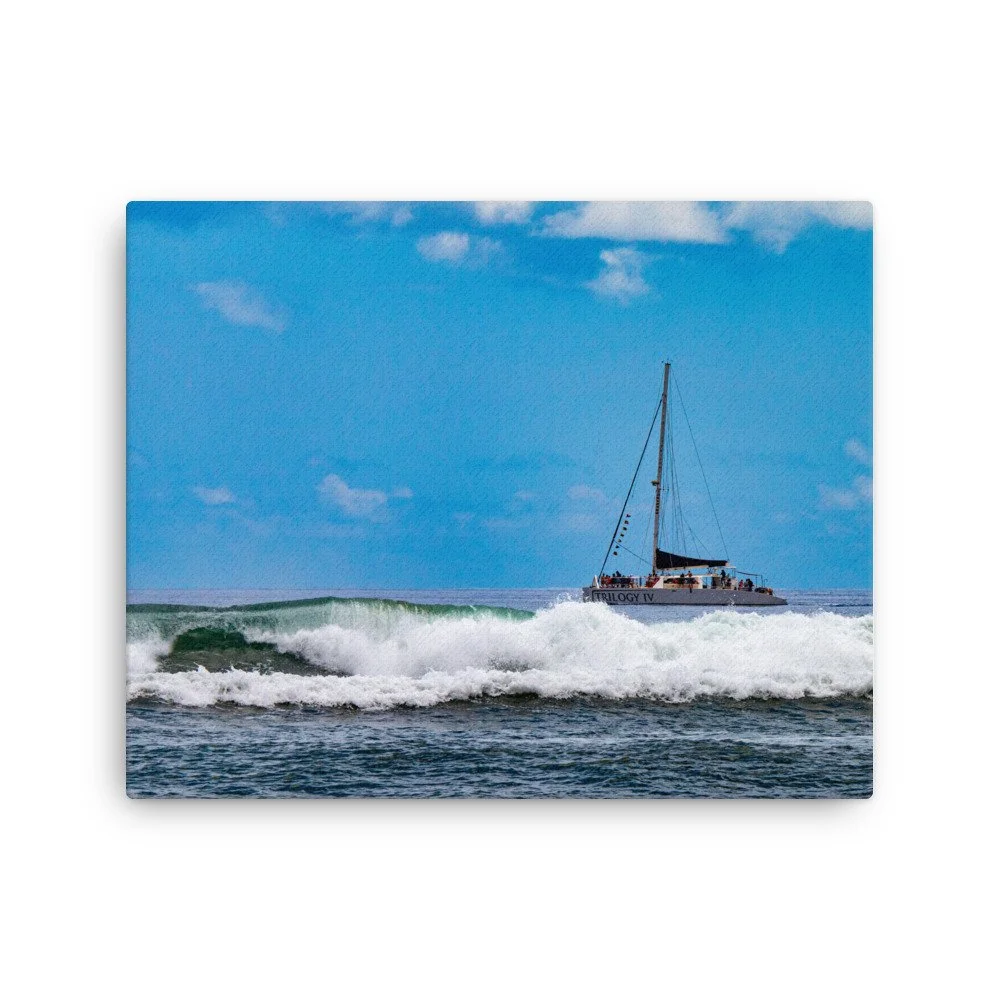 thin-canvas-(in)-16x20-front-68c0487e9819d.jpg