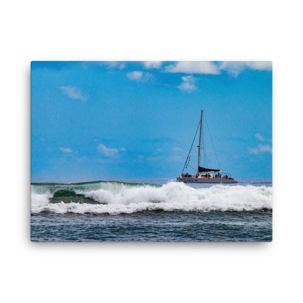 thin-canvas-(in)-18x24-front-68c0487e981f3.jpg