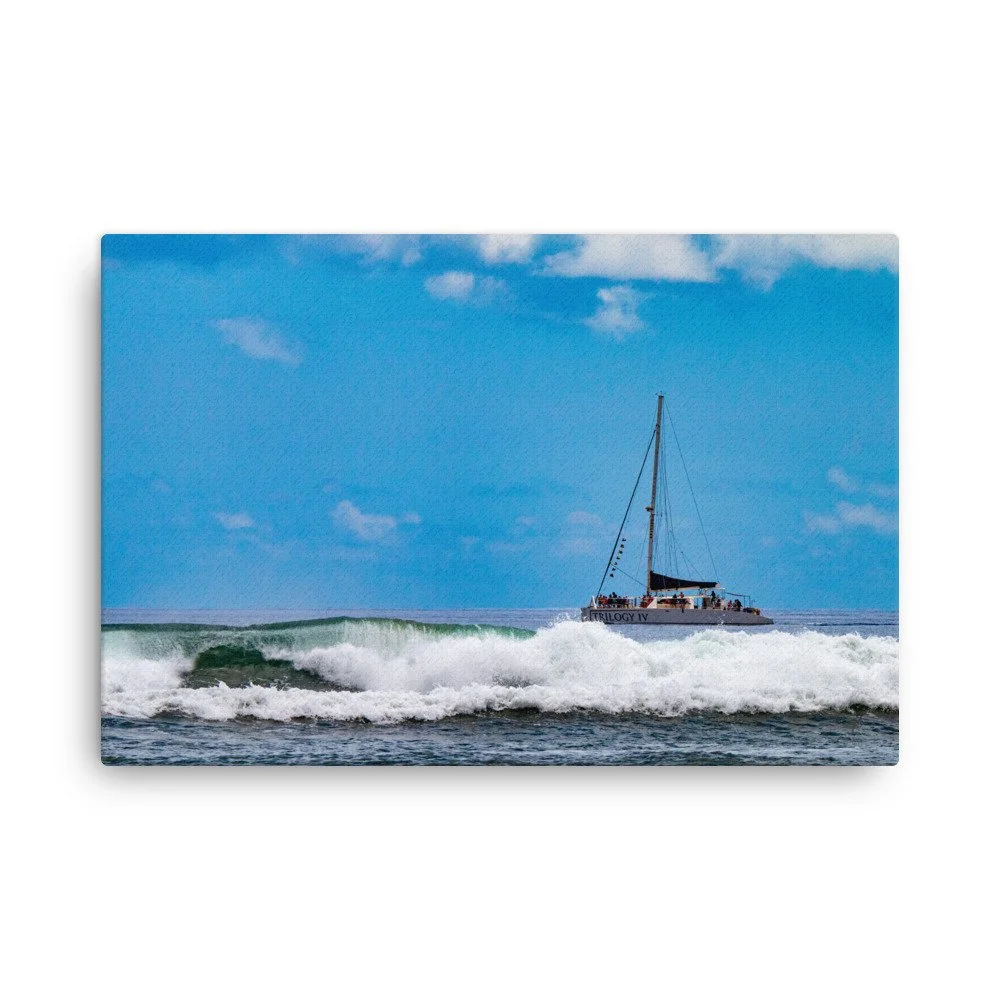 thin-canvas-(in)-20x30-front-68c0487e9835b.jpg