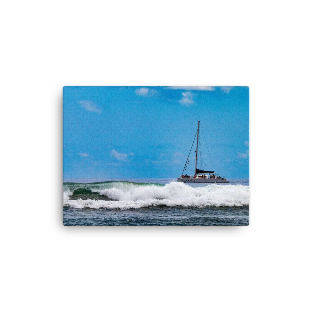 thin-canvas-(in)-9x12-front-68c0487e98454.jpg