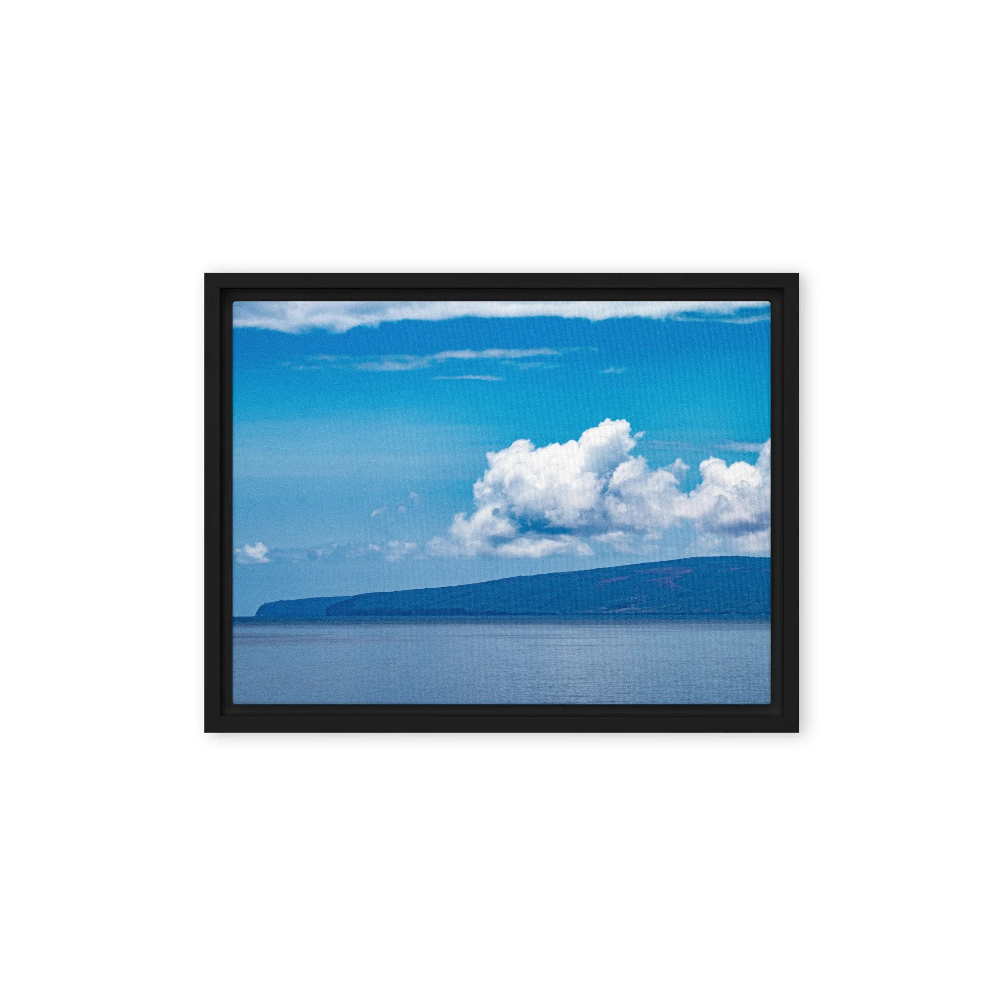 framed-canvas-(in)-black-9x12-front-68c0d3bc7f881.jpg