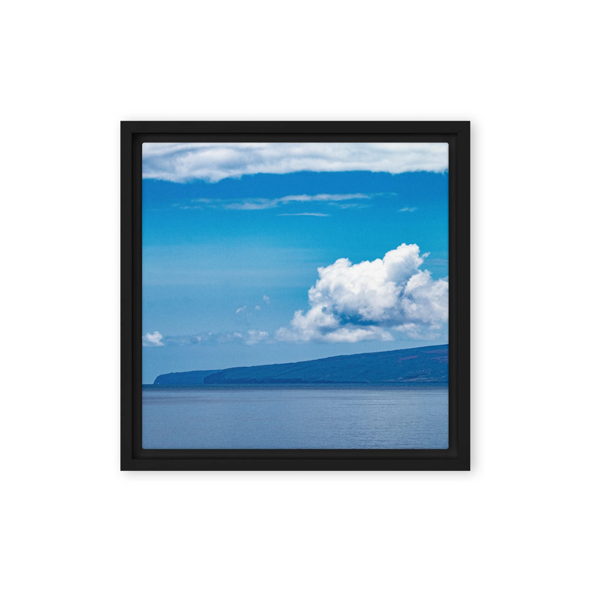 framed-canvas-(in)-black-12x12-front-68c0d3bc7f94e.jpg