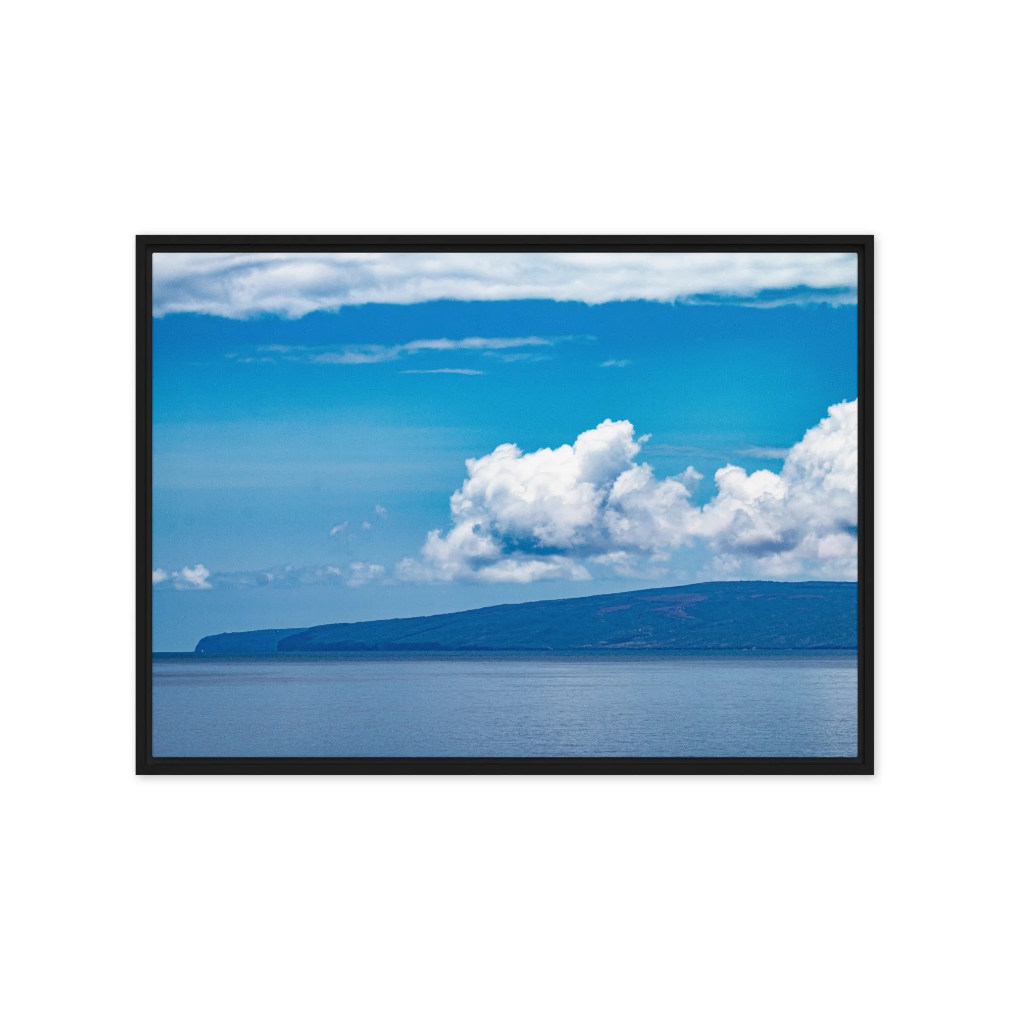 framed-canvas-(in)-black-20x28-front-68c0d3bc7fb48.jpg
