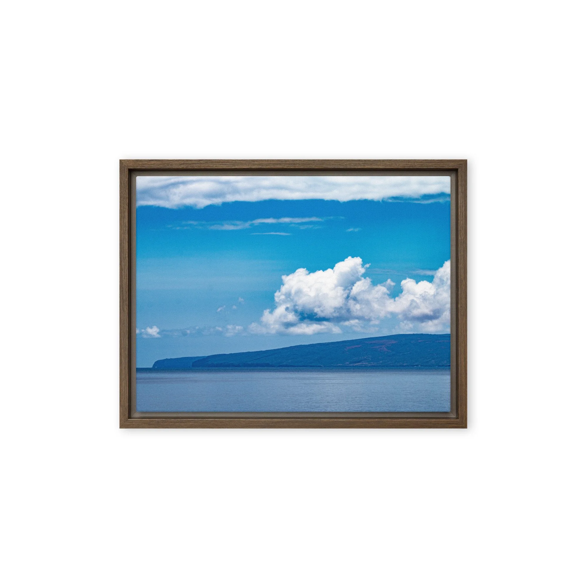 framed-canvas-(in)-brown-12x16-front-68c0d3bc7fe26.jpg