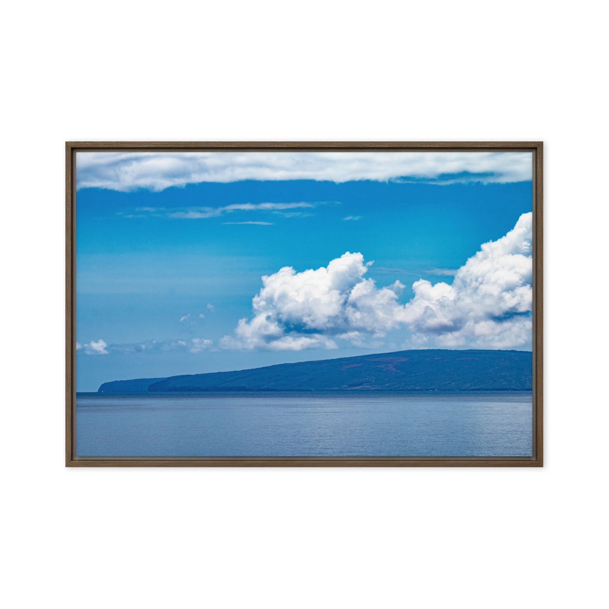 framed-canvas-(in)-brown-20x30-front-68c0d3bc8004a.jpg