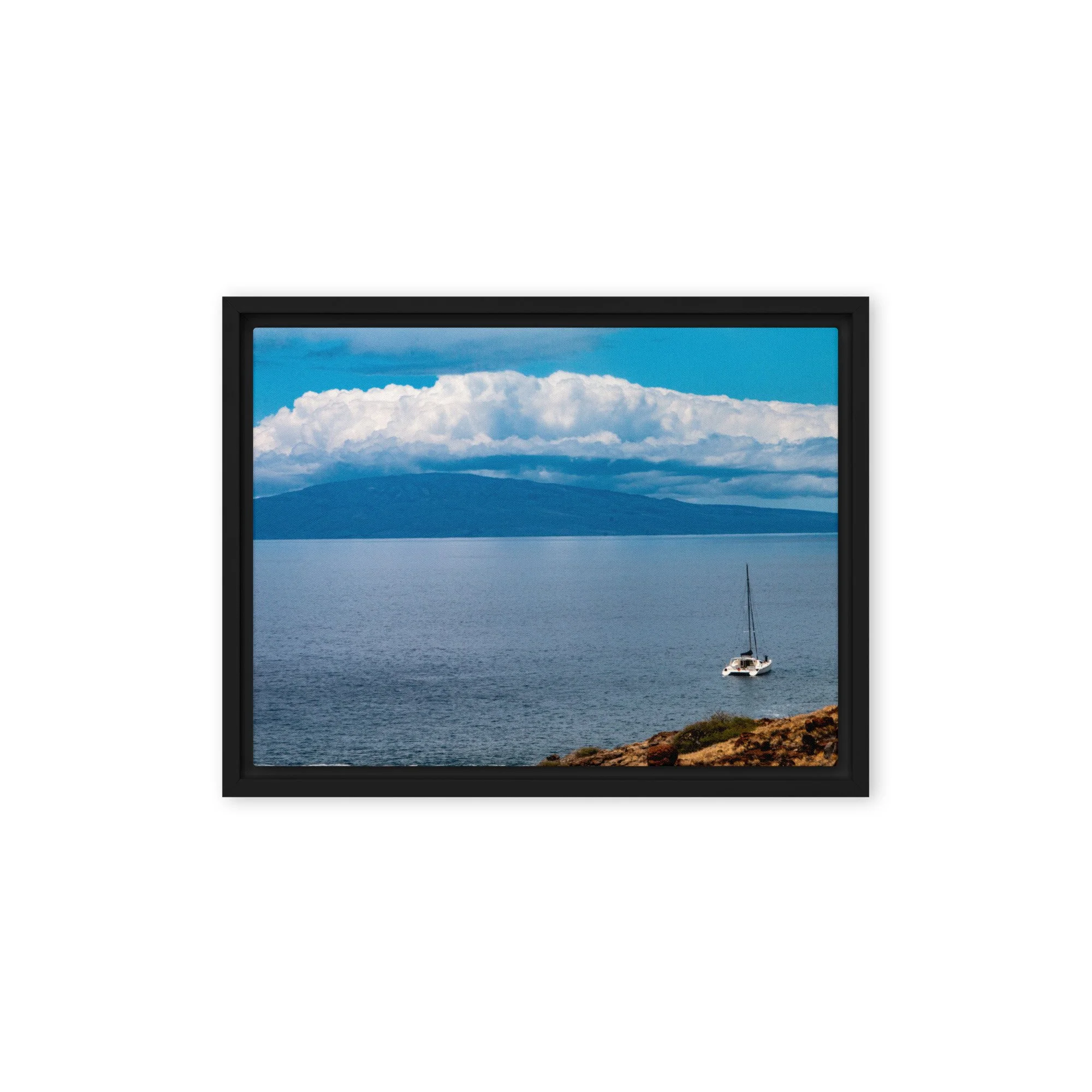 framed-canvas-(in)-black-9x12-front-68c0d71095e68.jpg