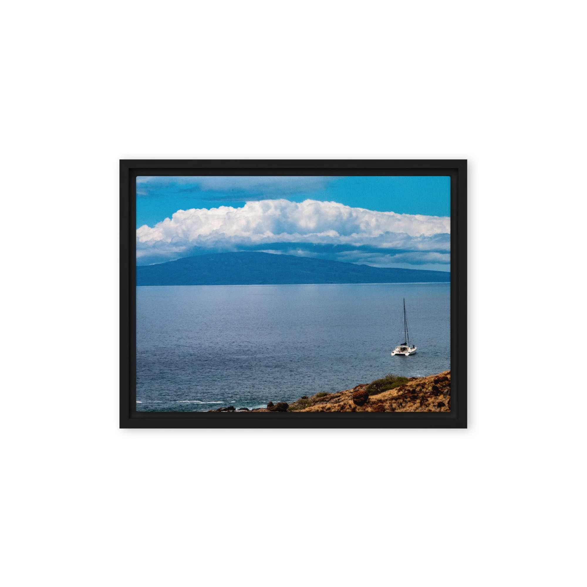 framed-canvas-(in)-black-12x16-front-68c0d71096069.jpg