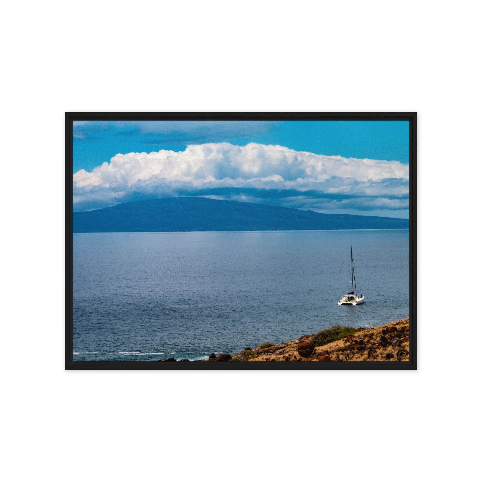 framed-canvas-(in)-black-20x28-front-68c0d710963d3.jpg