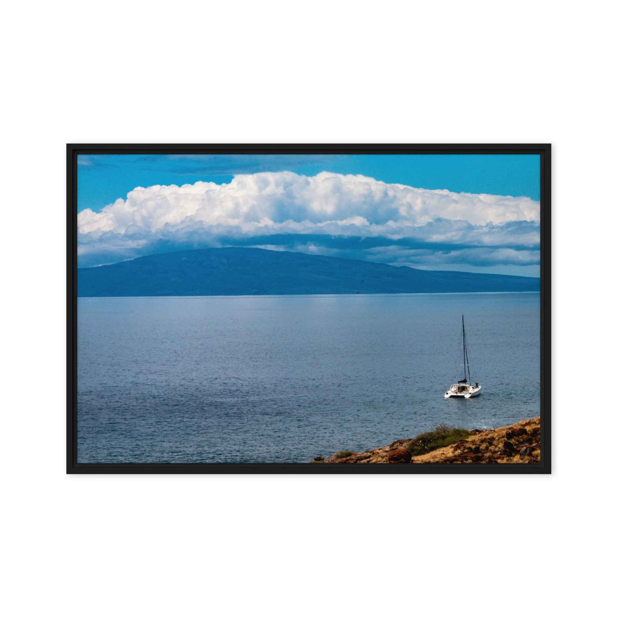 framed-canvas-(in)-black-20x30-front-68c0d71096471.jpg