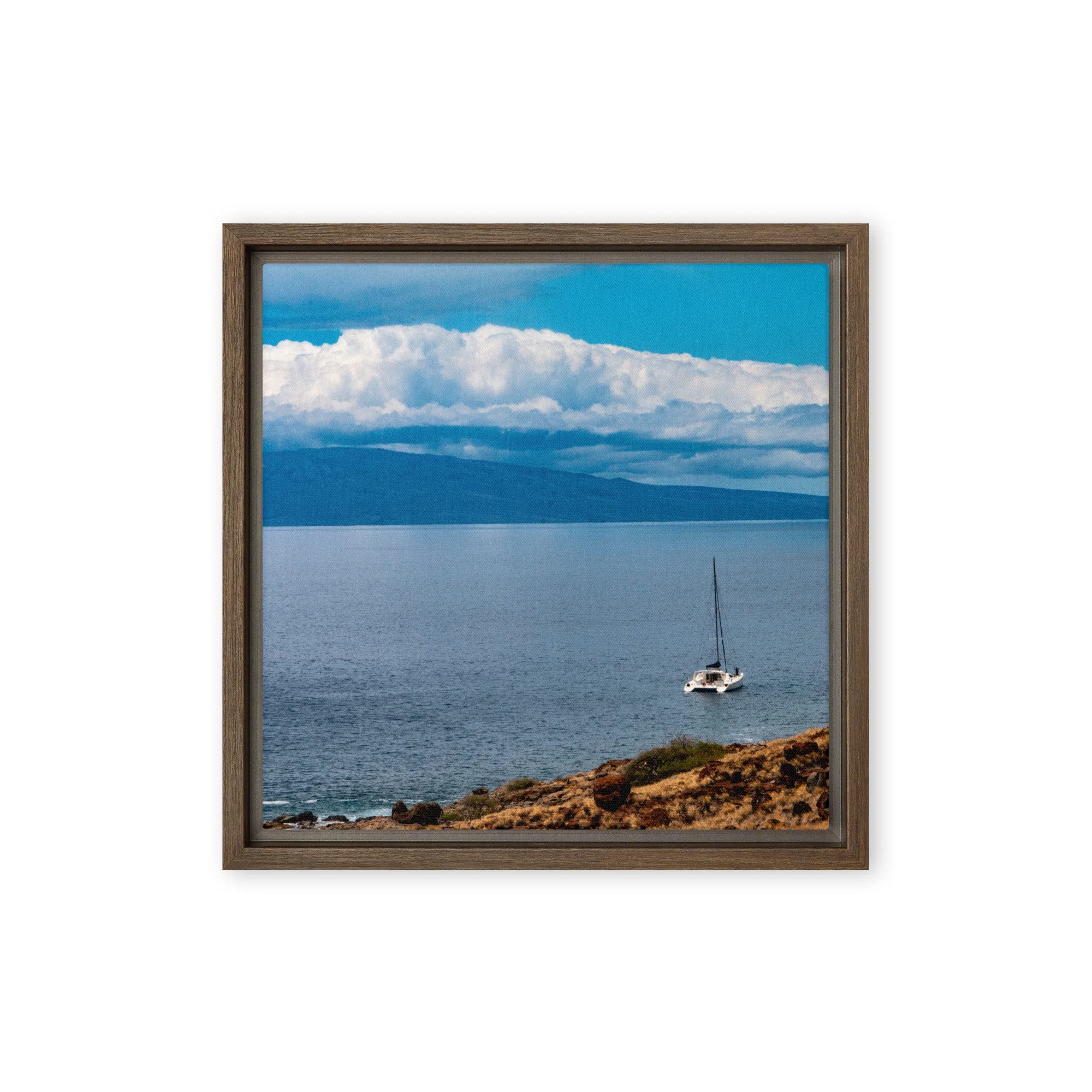 framed-canvas-(in)-brown-12x12-front-68c0d71096845.jpg