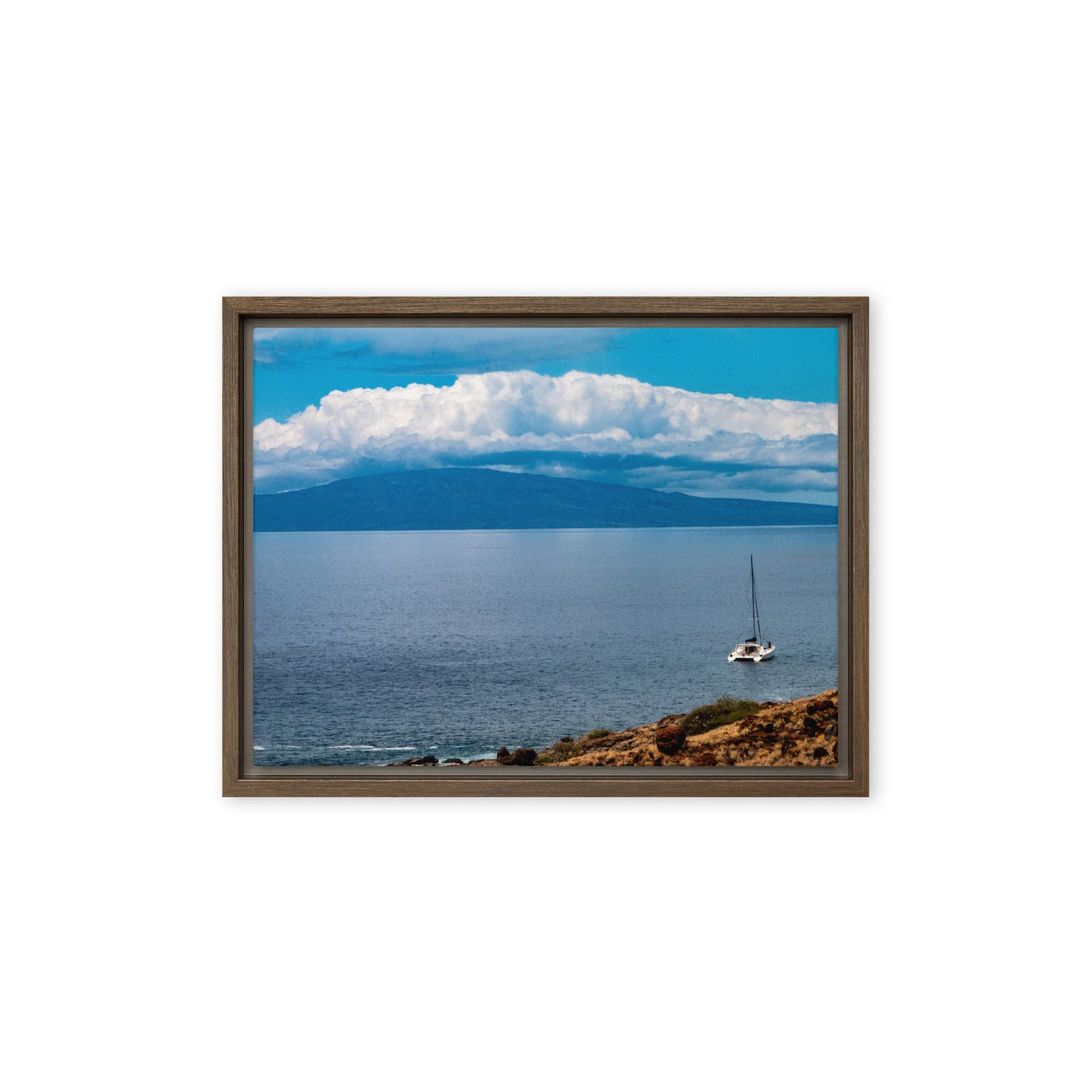framed-canvas-(in)-brown-12x16-front-68c0d710968eb.jpg