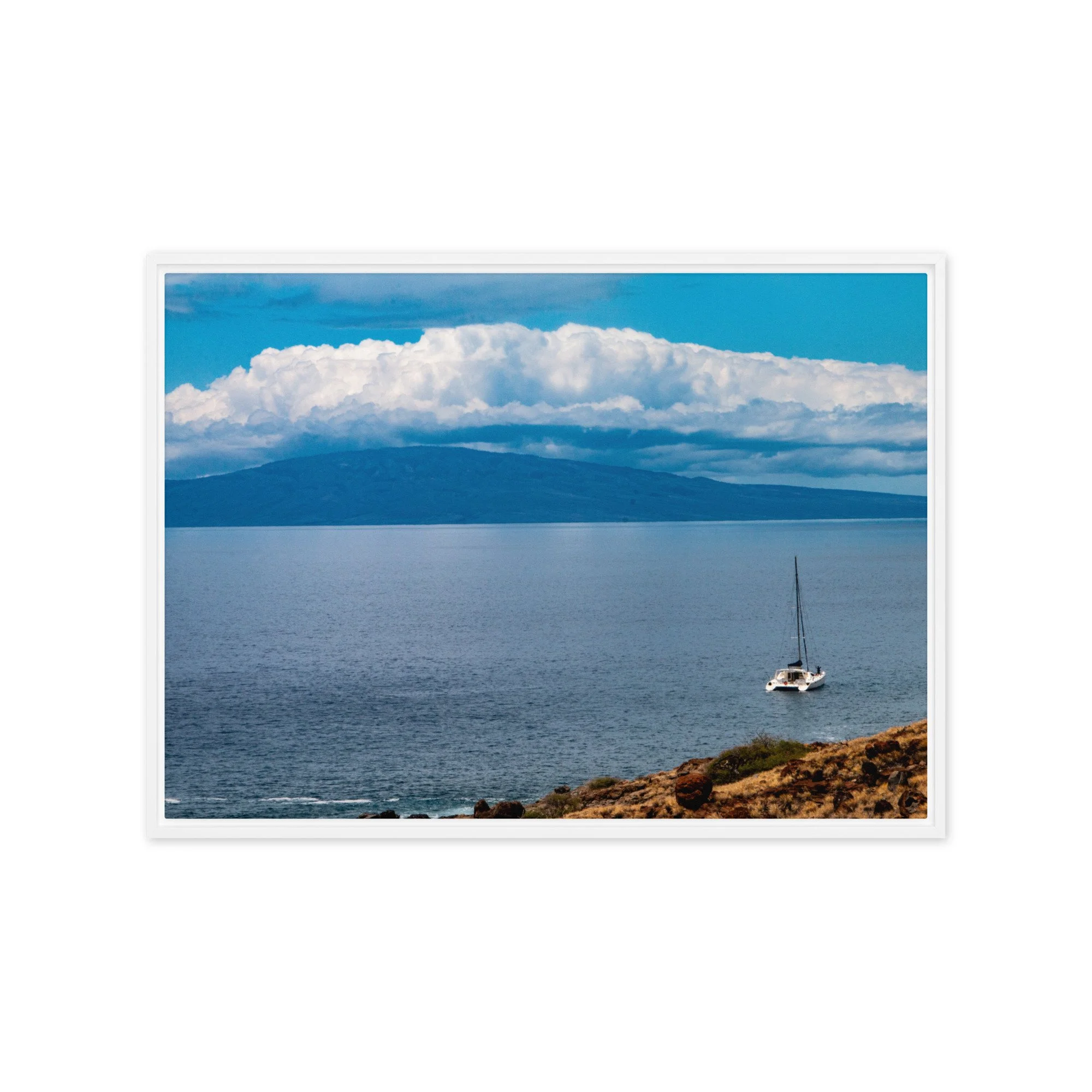 framed-canvas-(in)-white-20x28-front-68c0d71097403.jpg