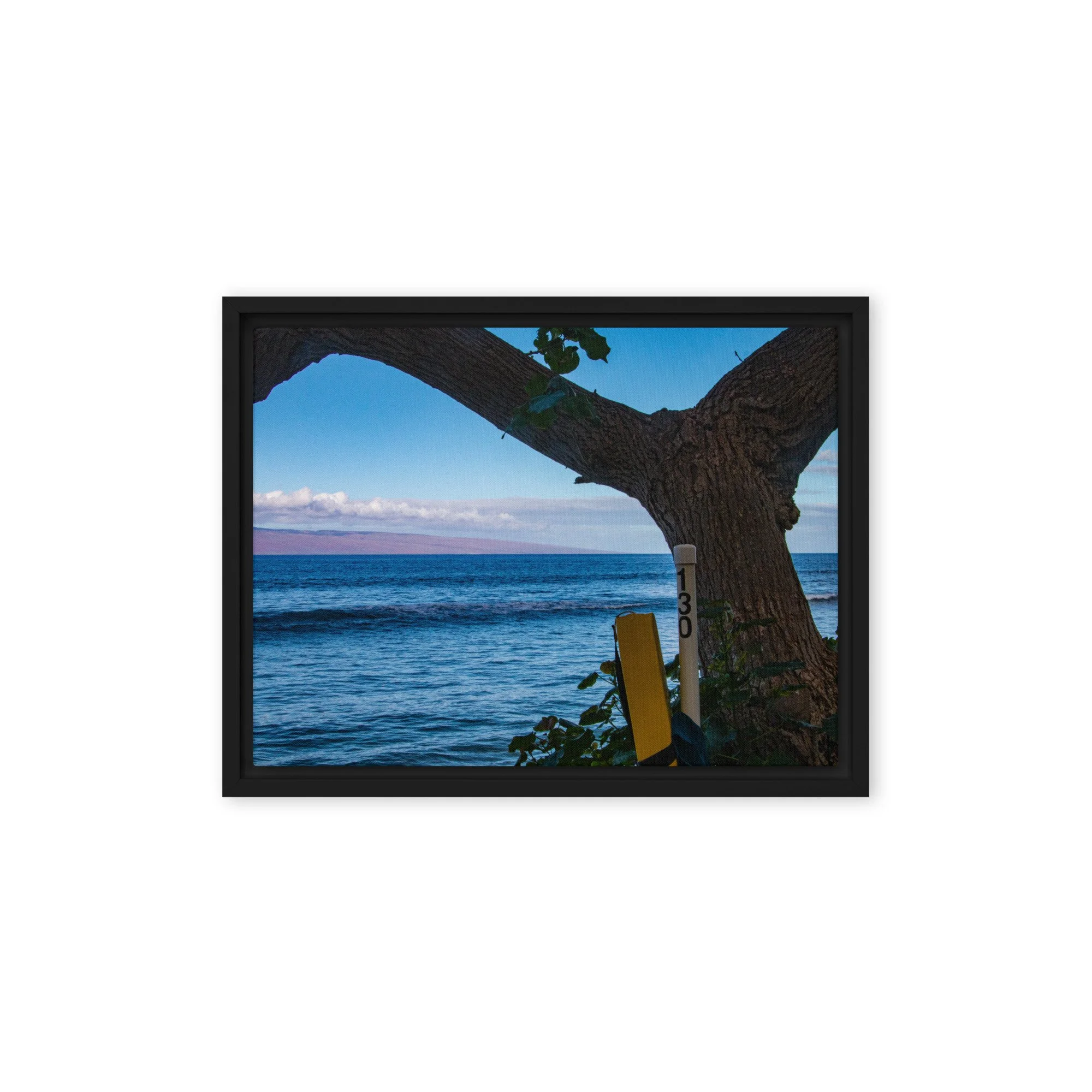 framed-canvas-(in)-black-9x12-front-68c83be08c83f.jpg