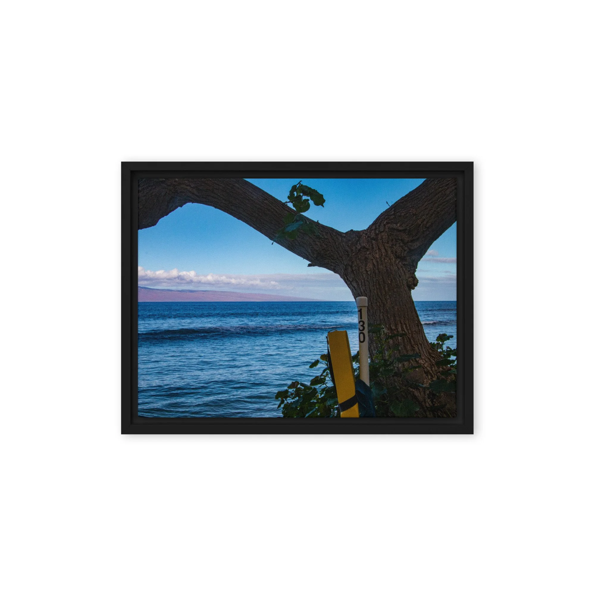 framed-canvas-(in)-black-12x16-front-68c83be08d1ff.jpg