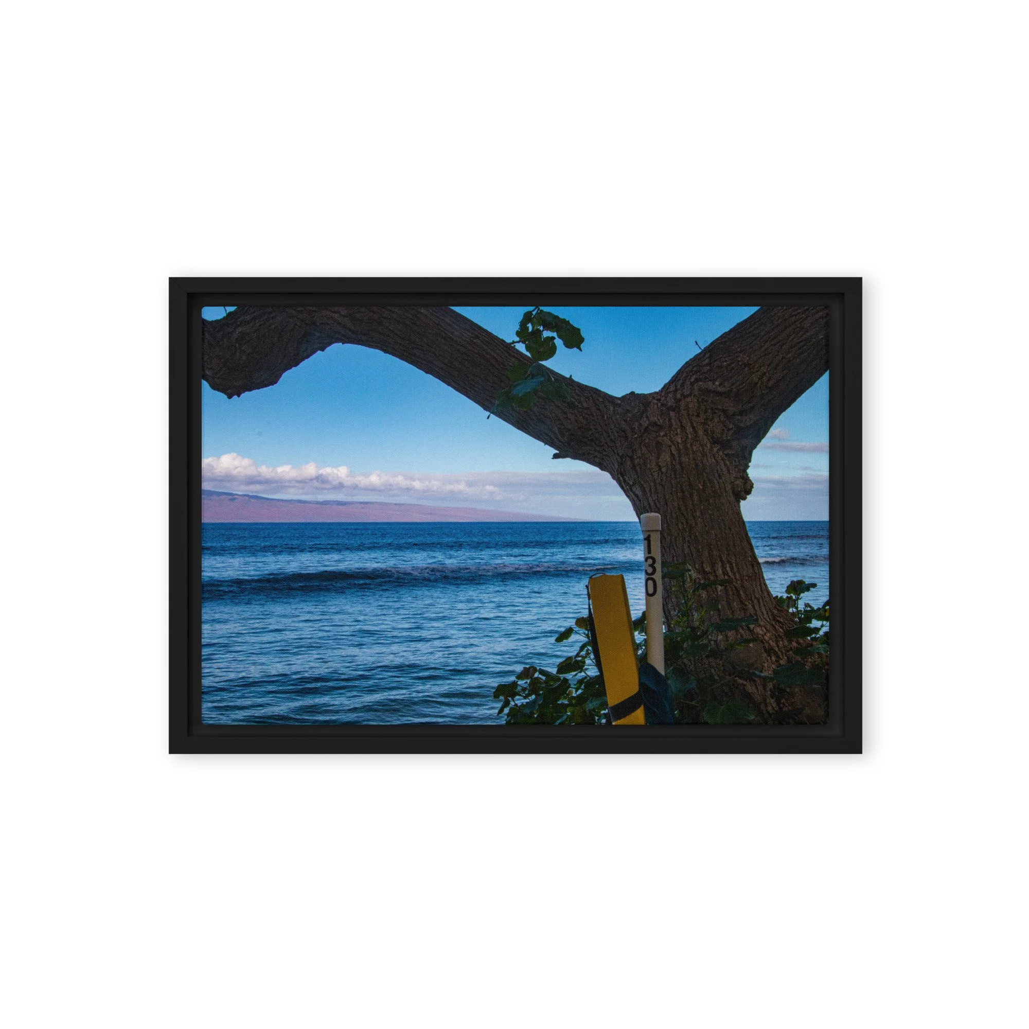 framed-canvas-(in)-black-12x18-front-68c83be08d25a.jpg
