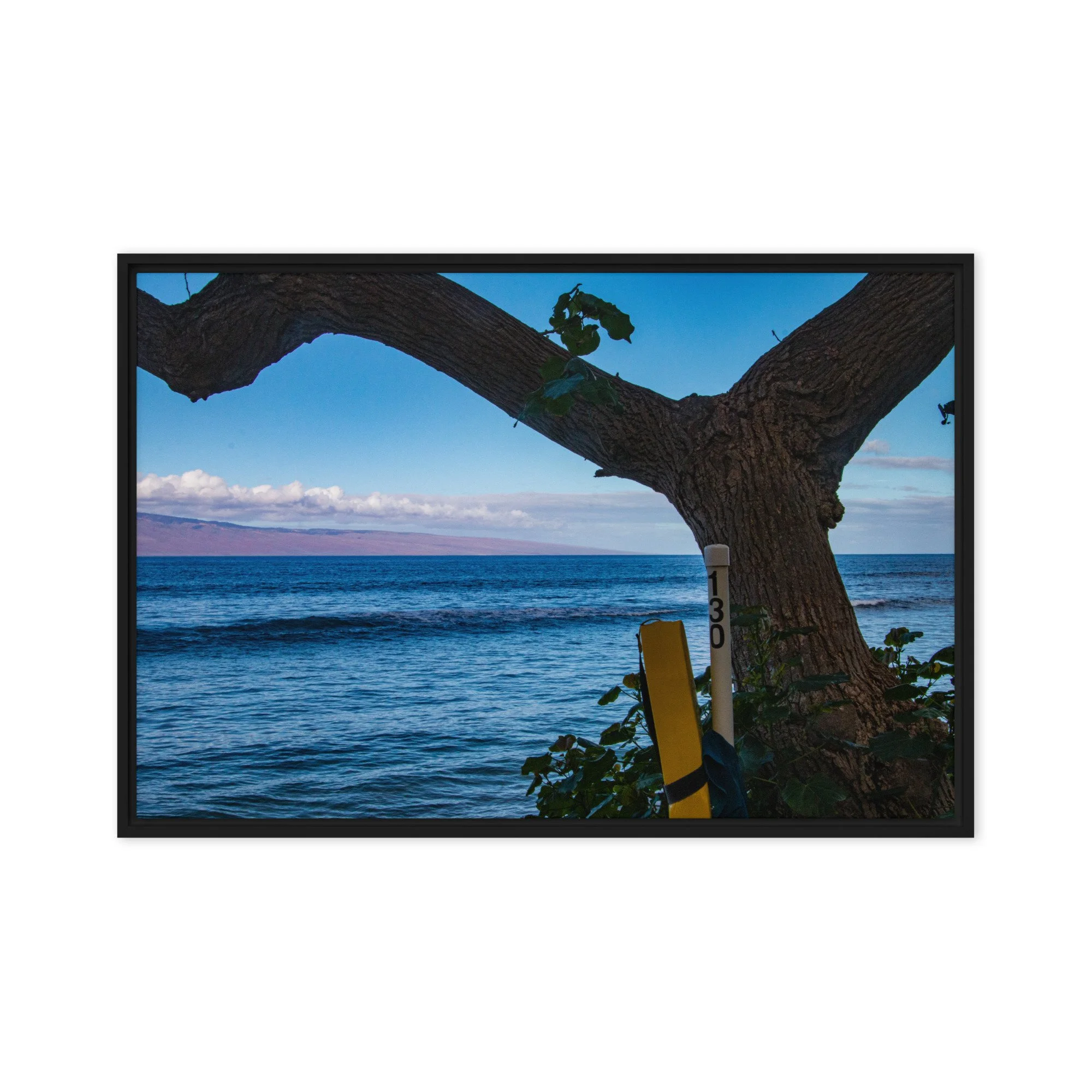 framed-canvas-(in)-black-20x30-front-68c83be08d427.jpg