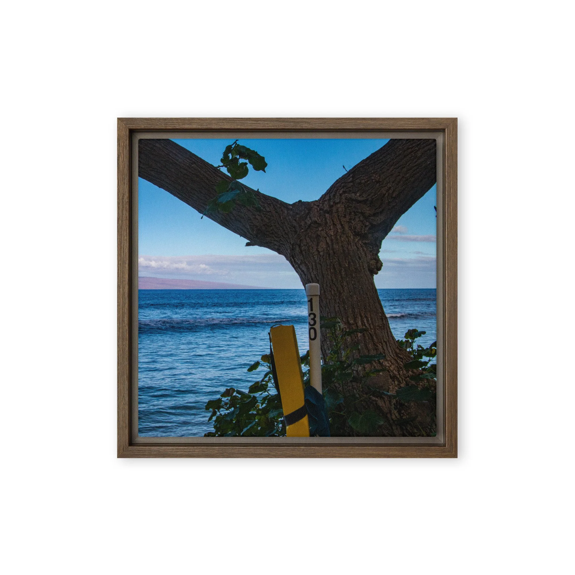 framed-canvas-(in)-brown-12x12-front-68c83be08d623.jpg
