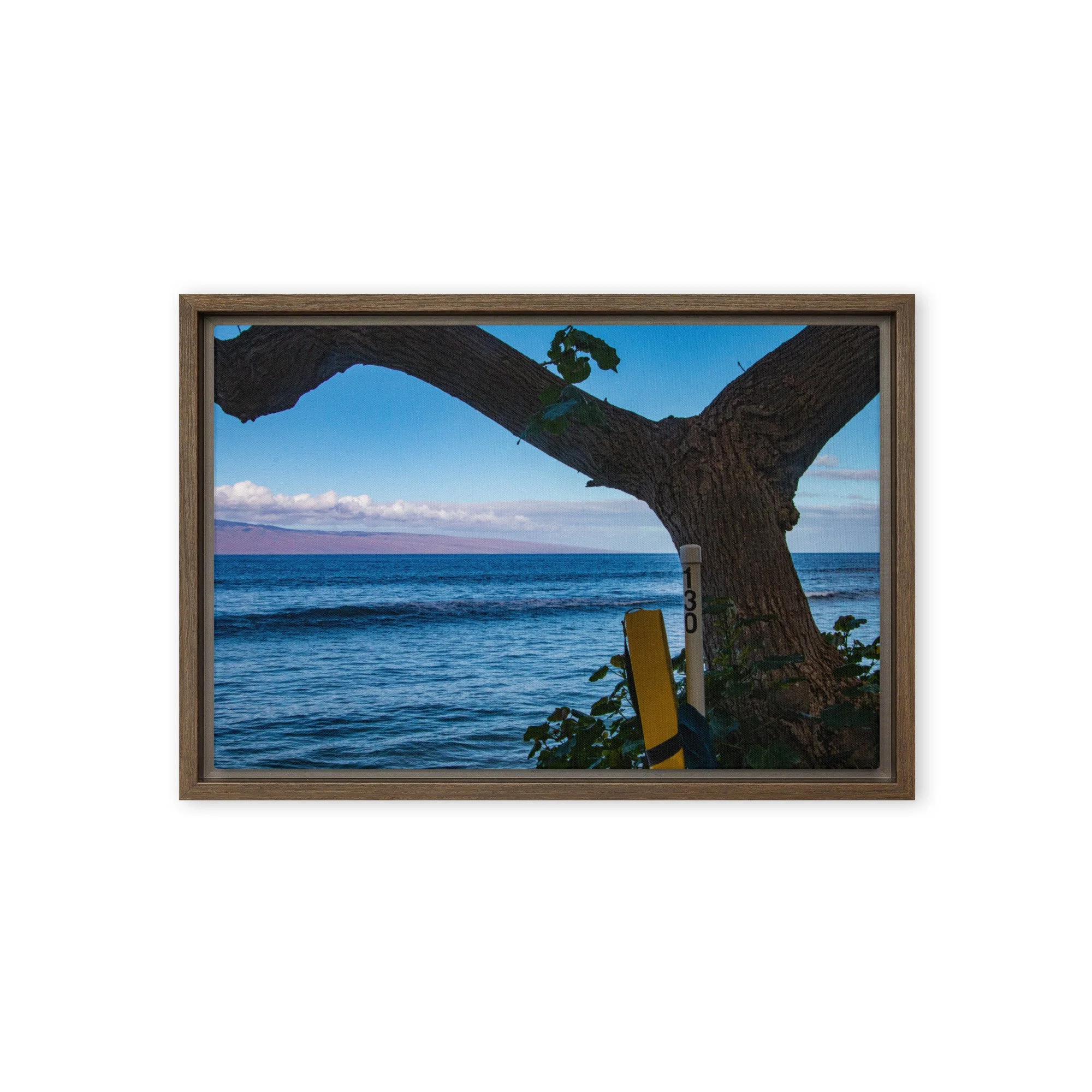 framed-canvas-(in)-brown-12x18-front-68c83be08d6d0.jpg