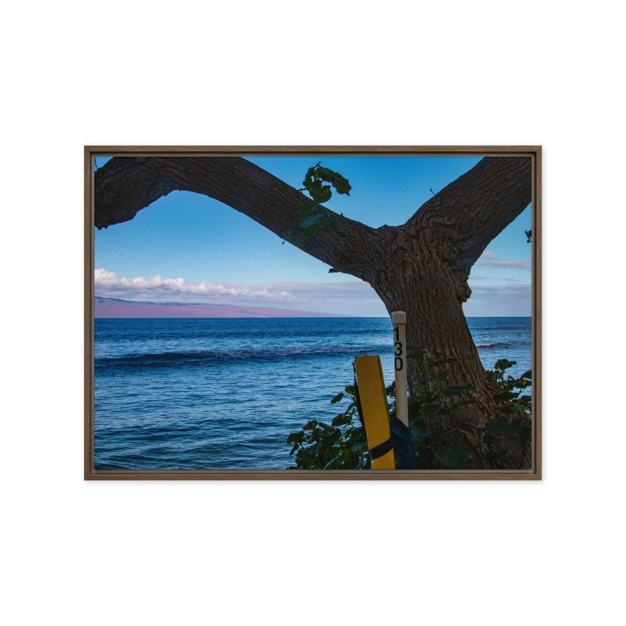 framed-canvas-(in)-brown-20x28-front-68c83be08d821.jpg