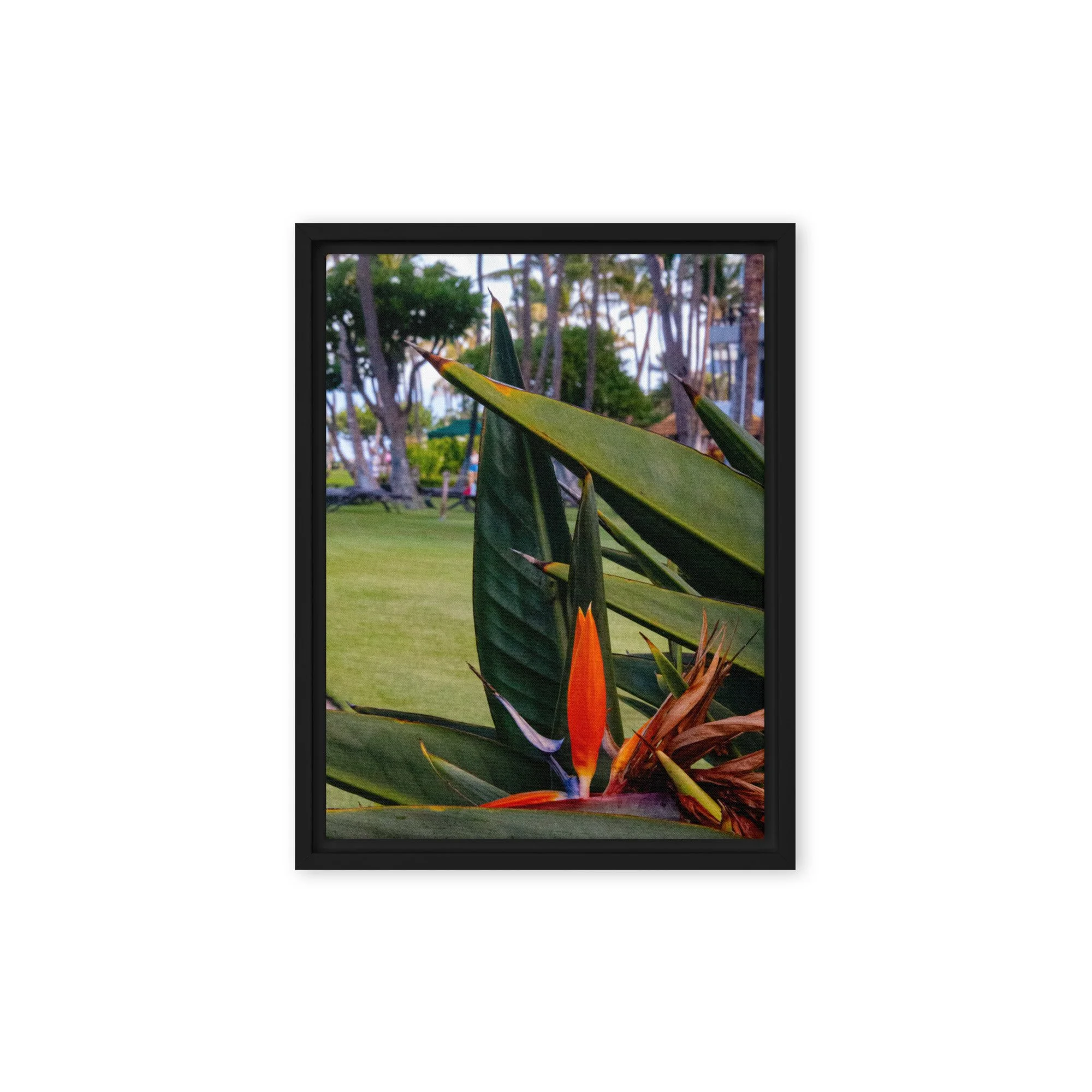 framed-canvas-(in)-black-9x12-front-68c8410fa8c39.jpg