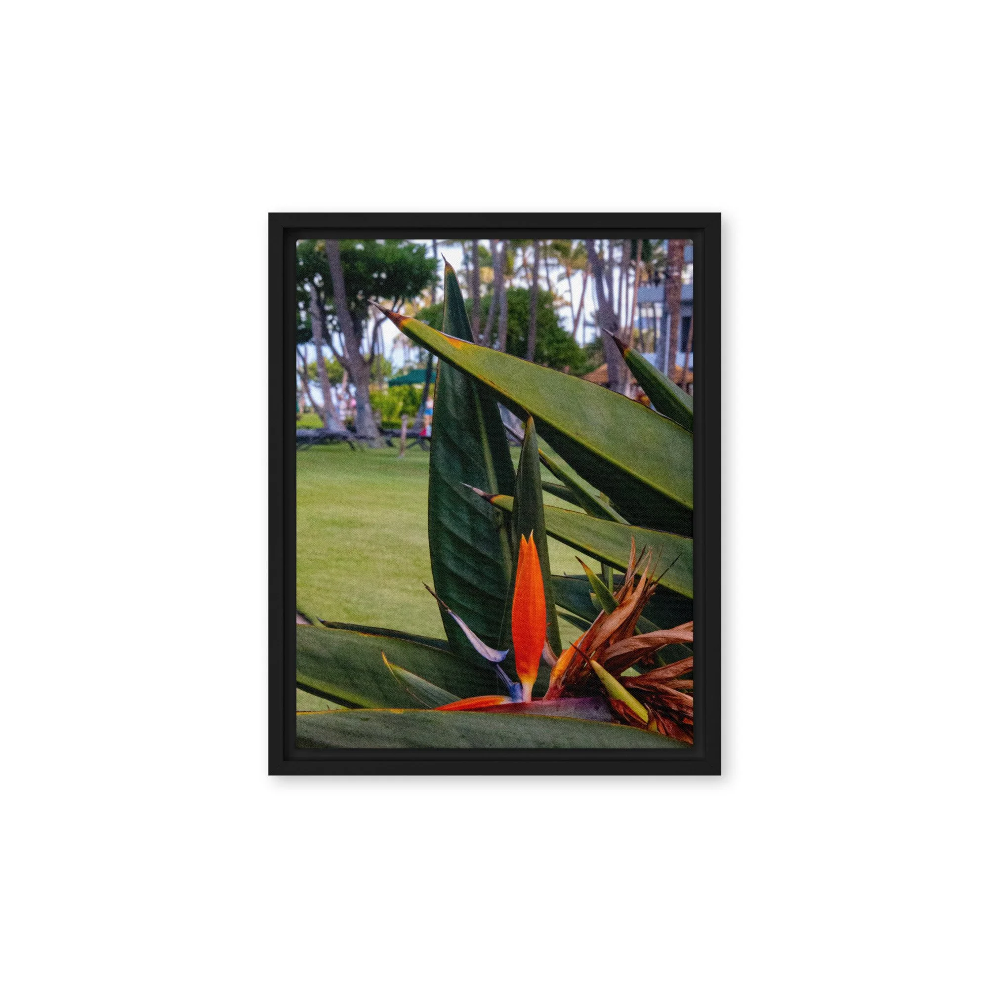 framed-canvas-(in)-black-11x14-front-68c8410fa8cba.jpg