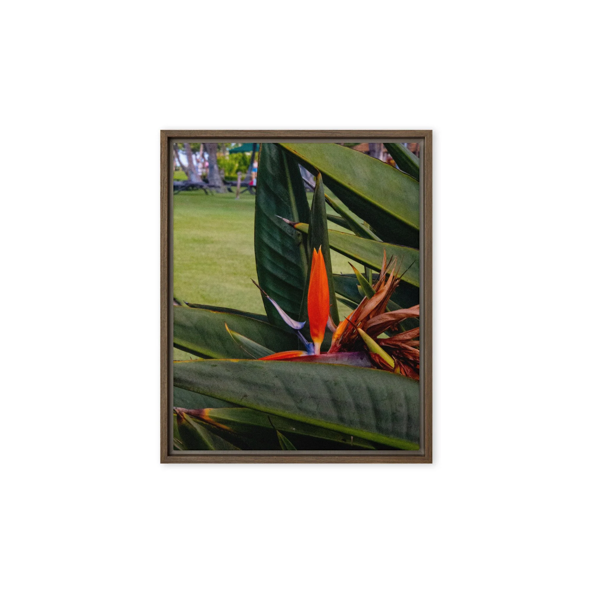 framed-canvas-(in)-brown-8x10-front-68c8410fa9107.jpg