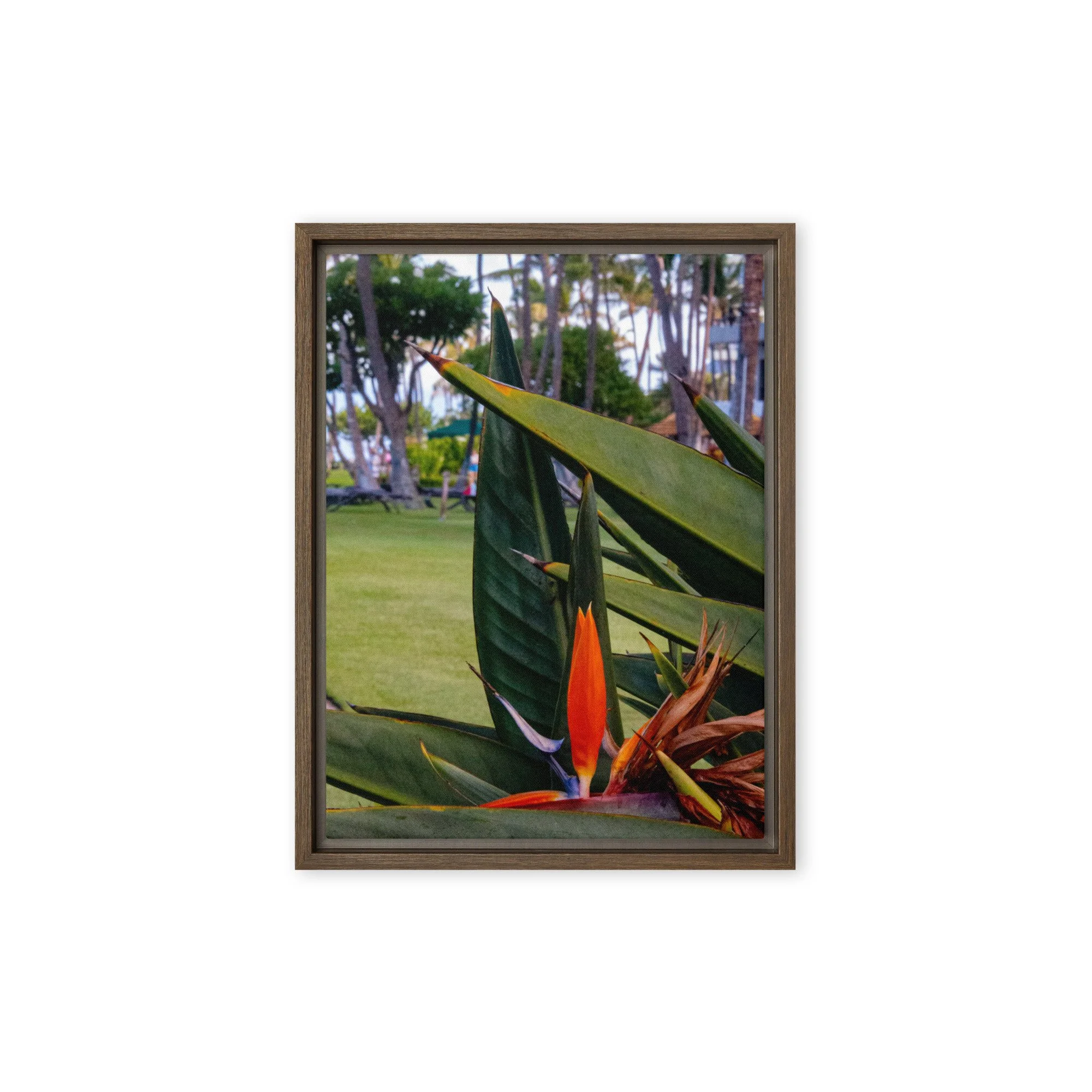 framed-canvas-(in)-brown-9x12-front-68c8410fa9166.jpg