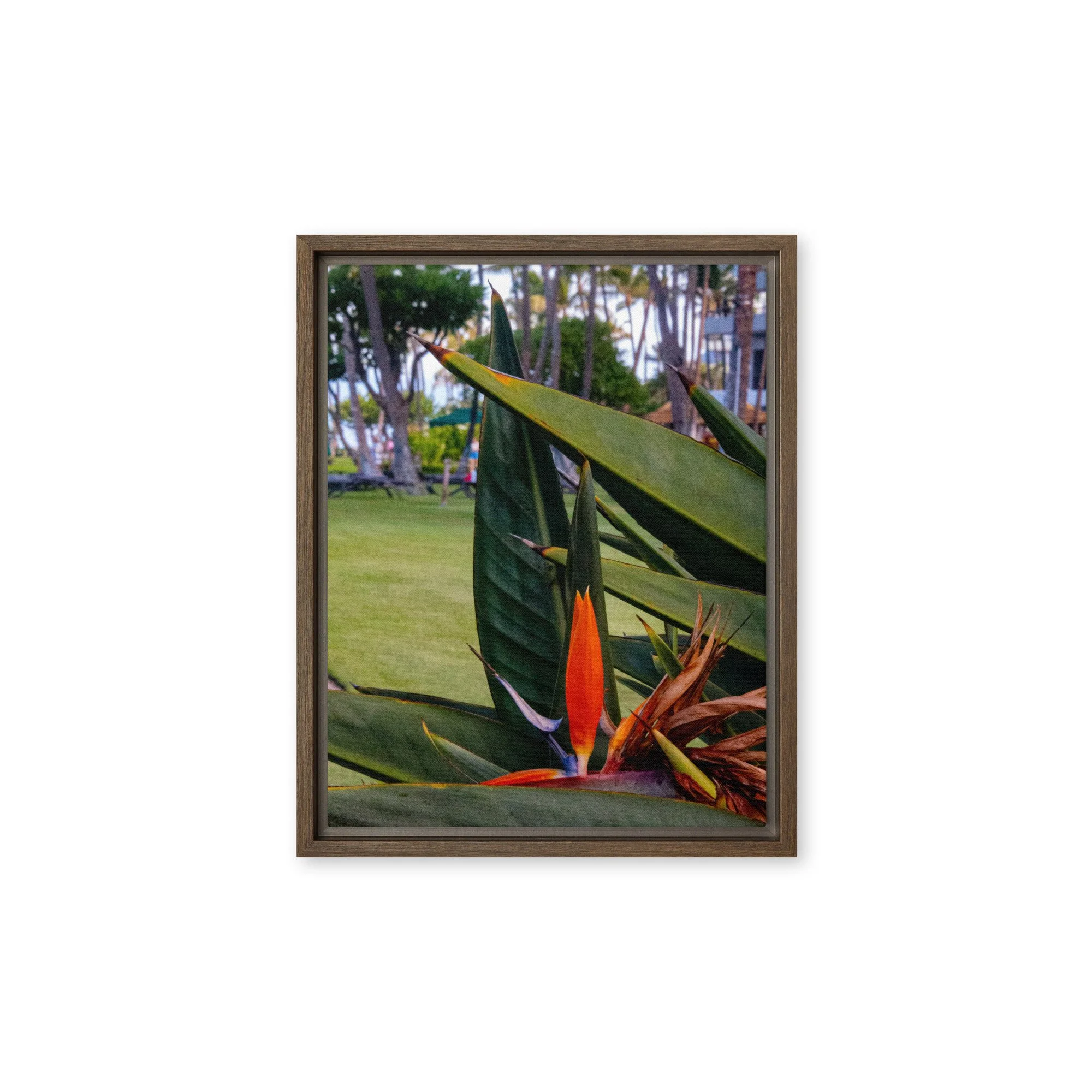 framed-canvas-(in)-brown-11x14-front-68c8410fa91c0.jpg