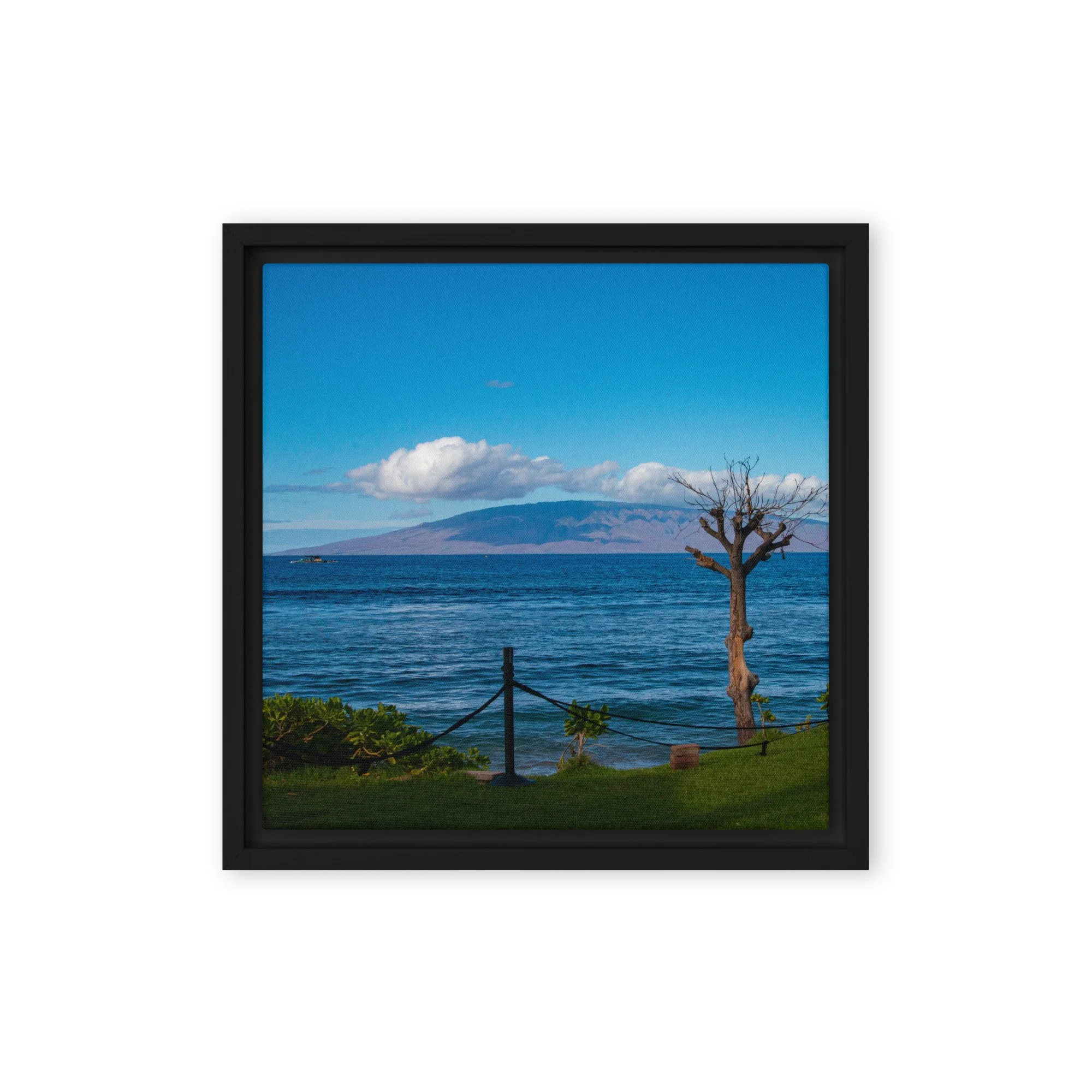 framed-canvas-(in)-black-12x12-front-68c8497f22072.jpg