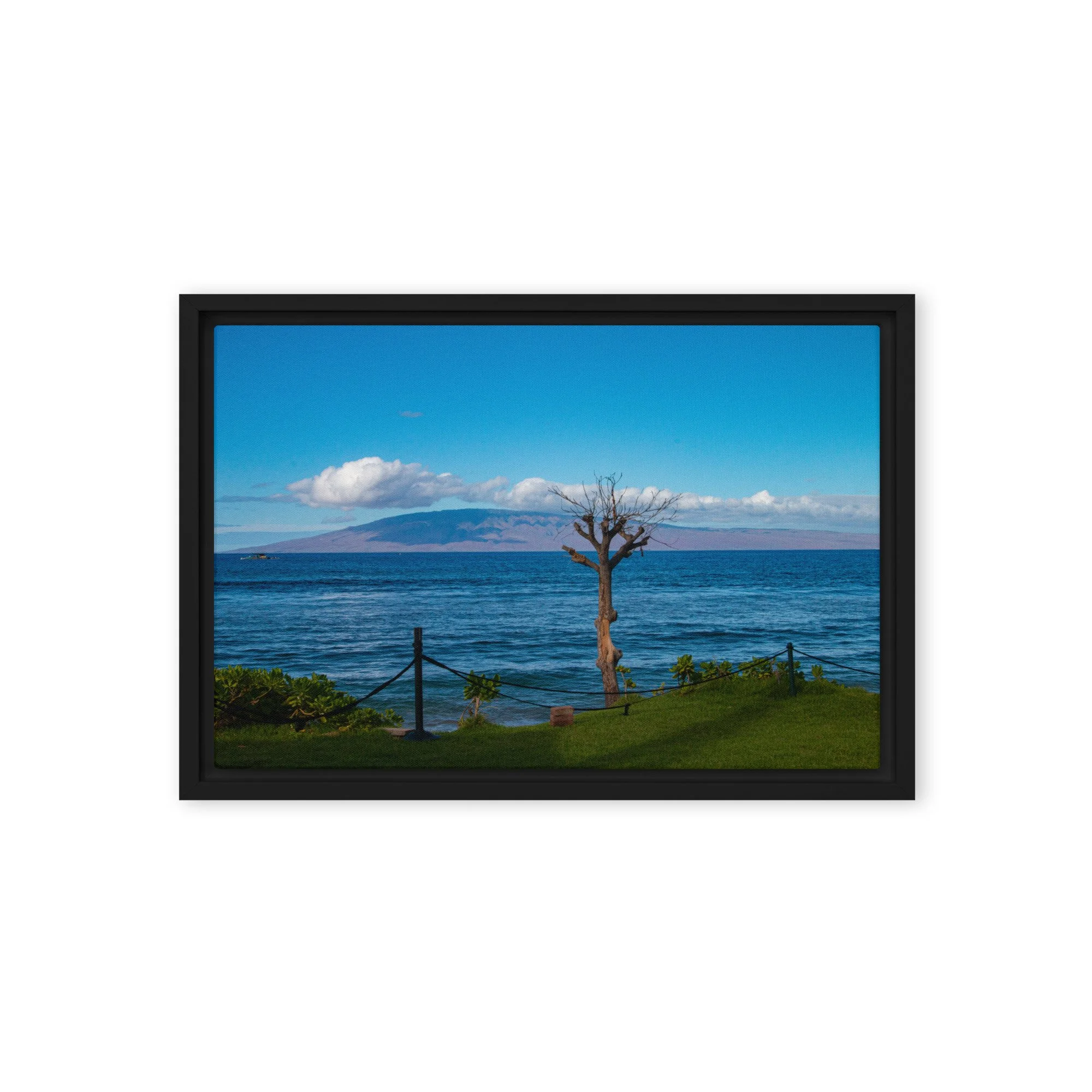 framed-canvas-(in)-black-12x18-front-68c8497f221d9.jpg
