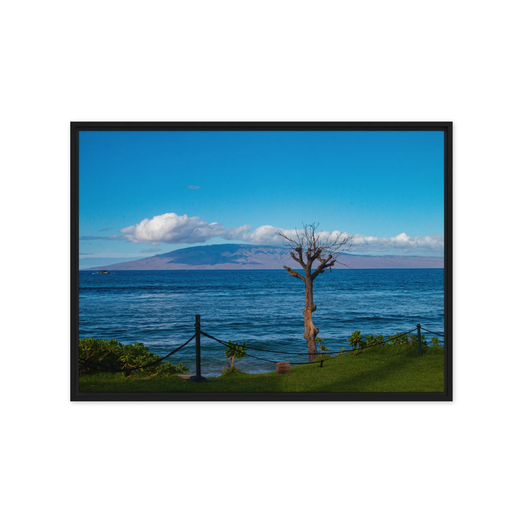 framed-canvas-(in)-black-20x28-front-68c8497f2249f.jpg