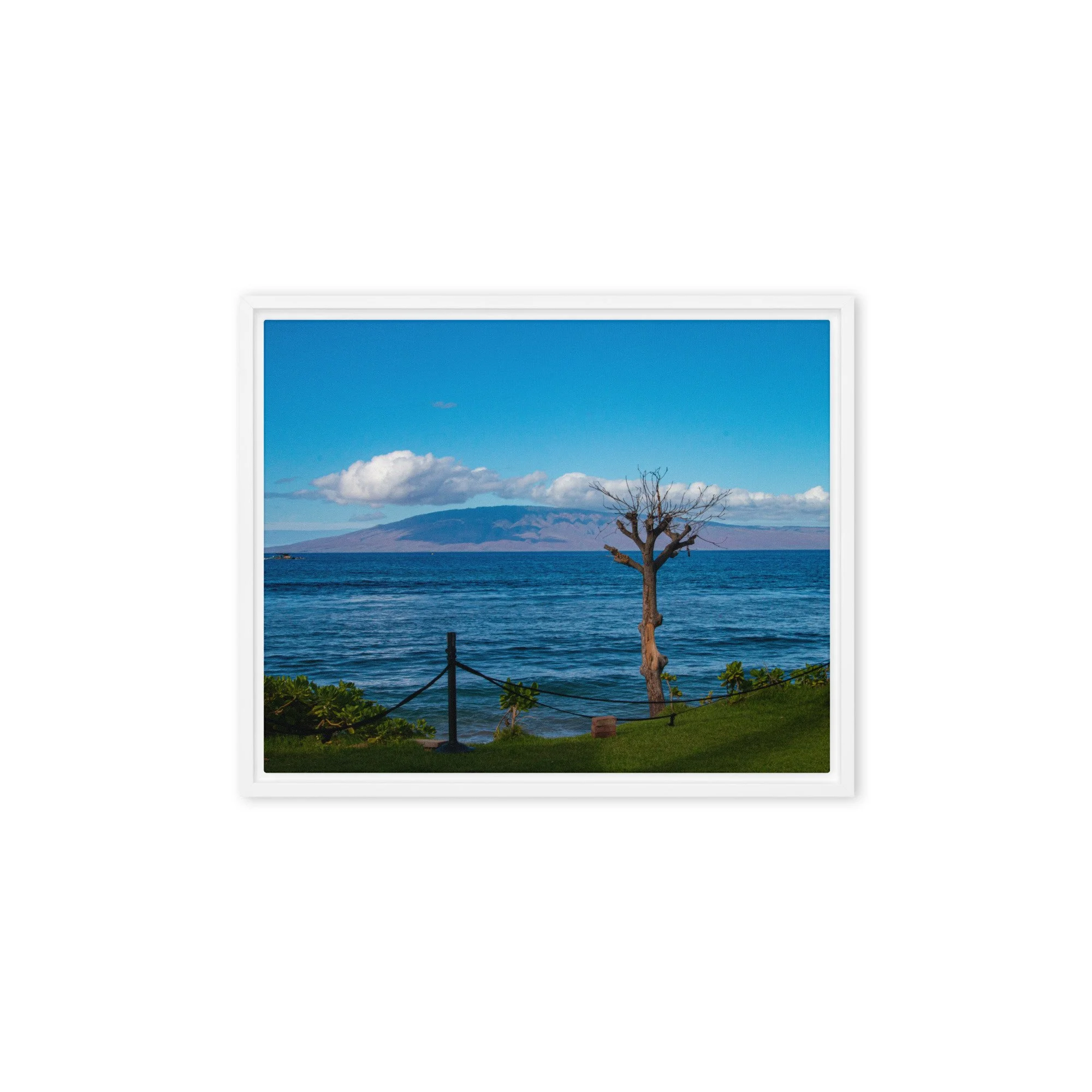 framed-canvas-(in)-white-8x10-front-68c8497f23004.jpg
