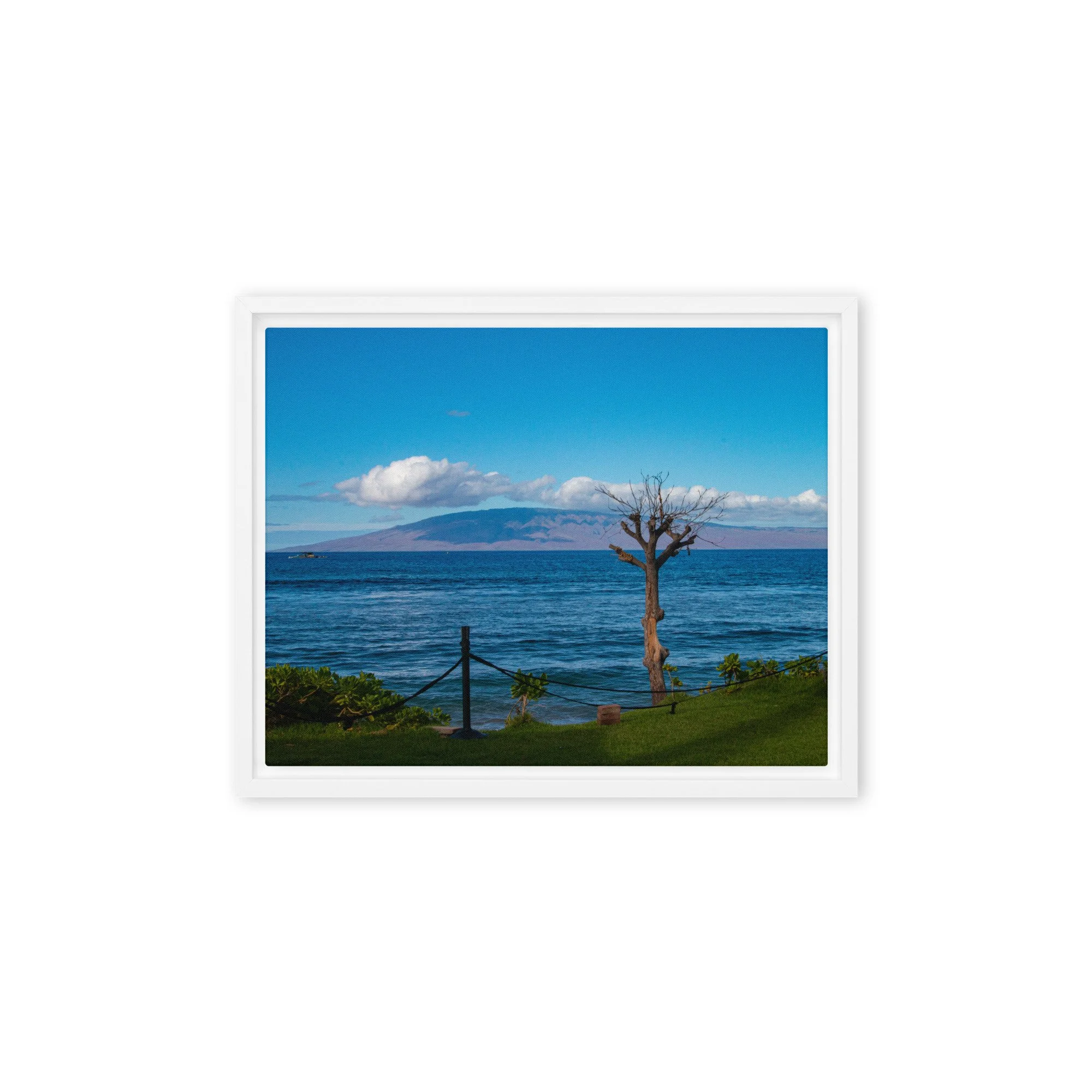 framed-canvas-(in)-white-11x14-front-68c8497f23149.jpg