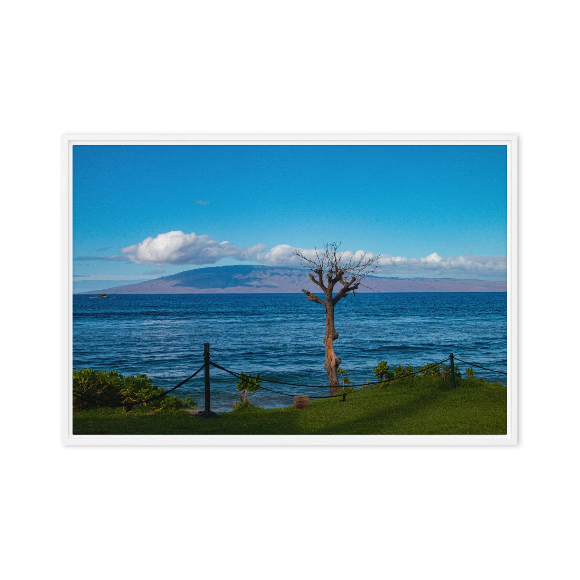framed-canvas-(in)-white-20x30-front-68c8497f236ab.jpg