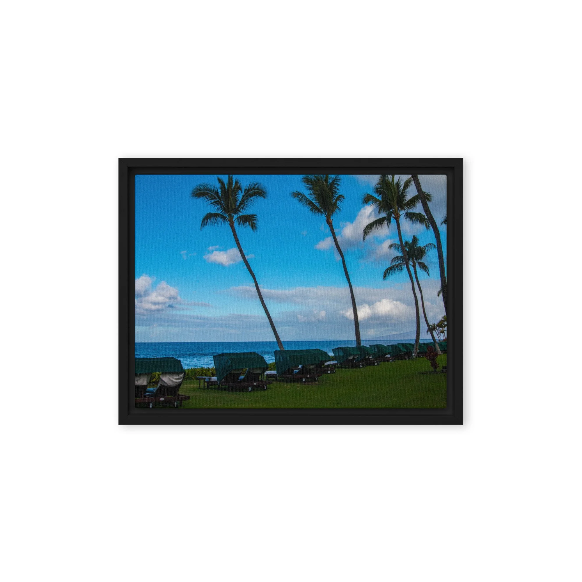 framed-canvas-(in)-black-9x12-front-68c8de7736863.jpg