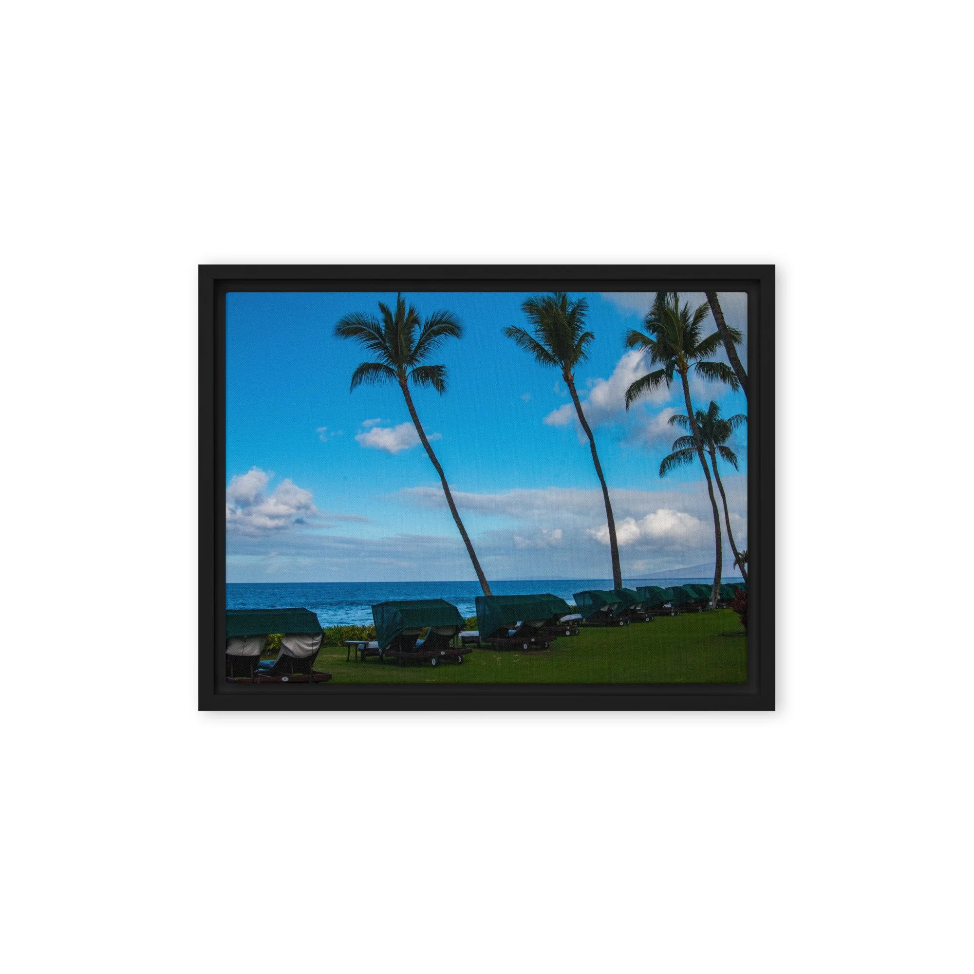 framed-canvas-(in)-black-12x16-front-68c8de773719a.jpg