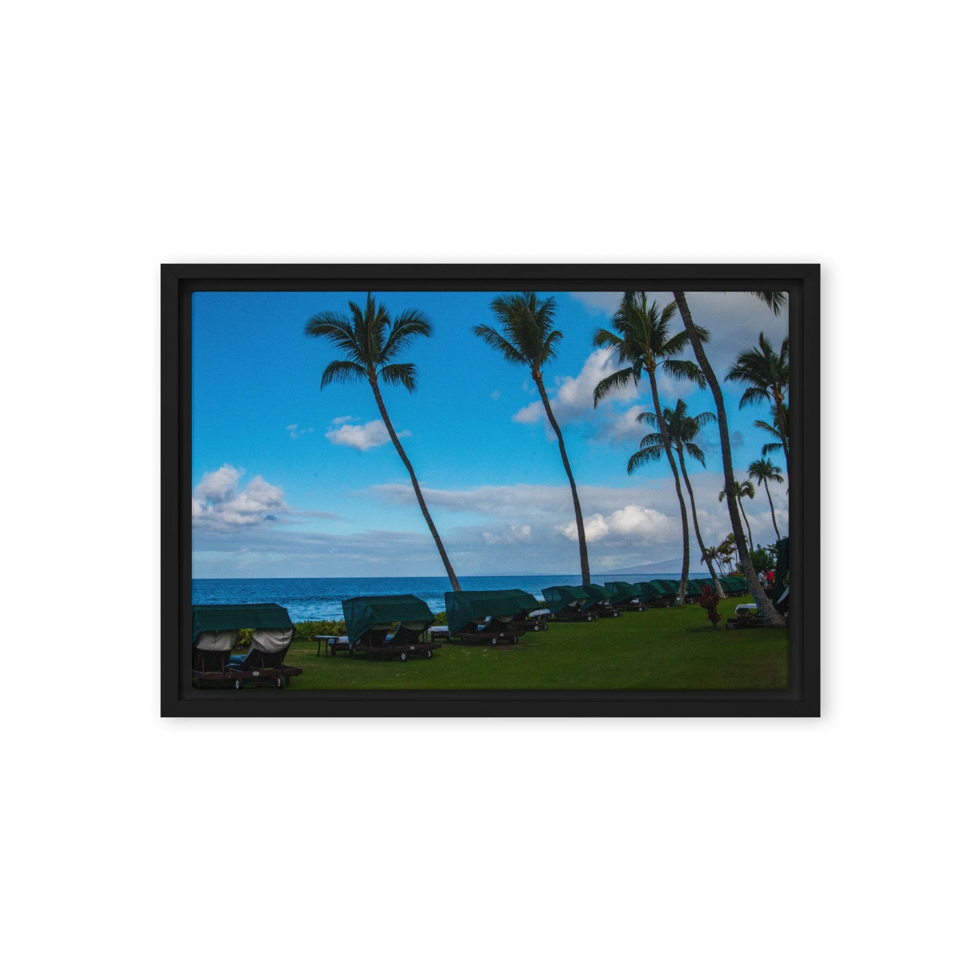 framed-canvas-(in)-black-12x18-front-68c8de773723f.jpg